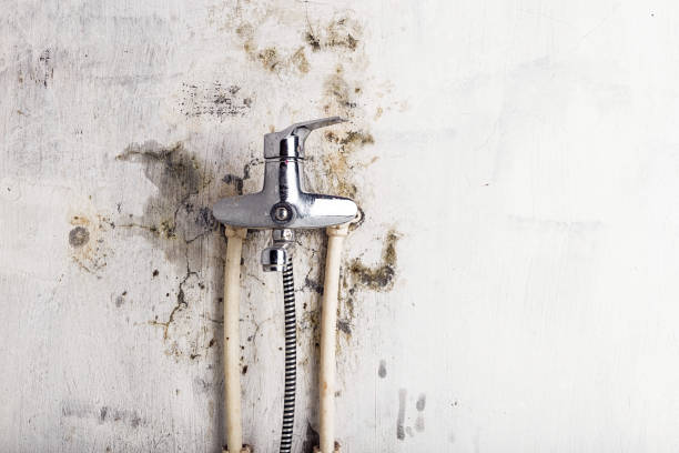 Professional Mold Removal in Remsenburg Speonk, NY