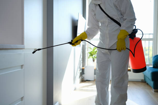 Certified Mold Removal in Remsenburg Speonk, NY